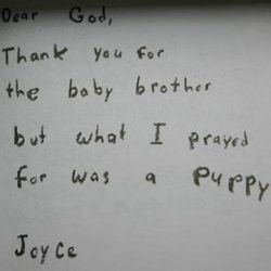 I prayed for a puppy